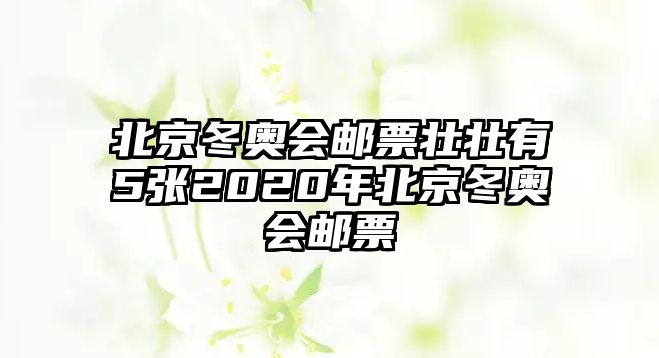 北京冬奧會(huì)郵票壯壯有5張2020年北京冬奧會(huì)郵票