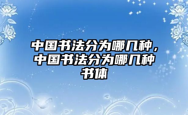 中國(guó)書法分為哪幾種，中國(guó)書法分為哪幾種書體