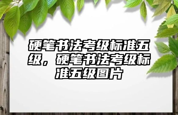 硬筆書法考級(jí)標(biāo)準(zhǔn)五級(jí)，硬筆書法考級(jí)標(biāo)準(zhǔn)五級(jí)圖片