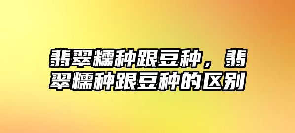 翡翠糯種跟豆種，翡翠糯種跟豆種的區(qū)別