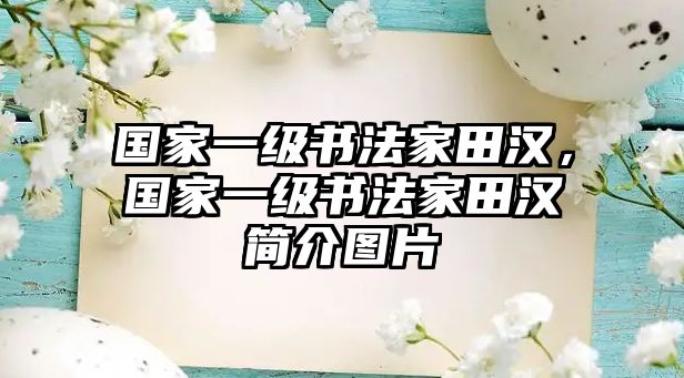 國家一級(jí)書法家田漢，國家一級(jí)書法家田漢簡介圖片