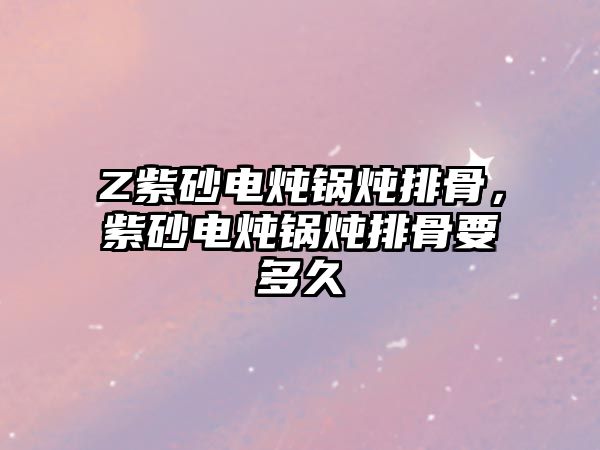 Z紫砂電燉鍋燉排骨，紫砂電燉鍋燉排骨要多久