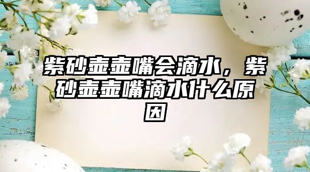 紫砂壺壺嘴會(huì)滴水，紫砂壺壺嘴滴水什么原因