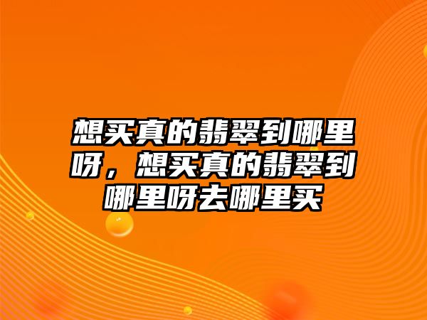 想買真的翡翠到哪里呀，想買真的翡翠到哪里呀去哪里買