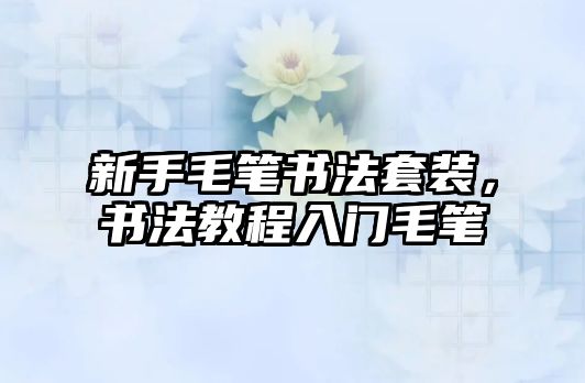 新手毛筆書法套裝，書法教程入門毛筆