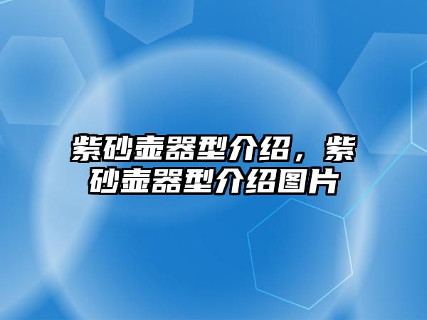 紫砂壺器型介紹，紫砂壺器型介紹圖片