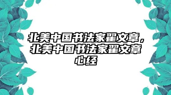 北美中國書法家翟文章，北美中國書法家翟文章心經(jīng)