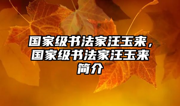 國家級書法家汪玉來，國家級書法家汪玉來簡介