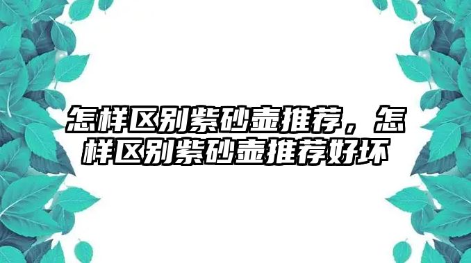 怎樣區(qū)別紫砂壺推薦，怎樣區(qū)別紫砂壺推薦好壞