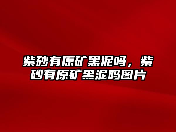 紫砂有原礦黑泥嗎，紫砂有原礦黑泥嗎圖片