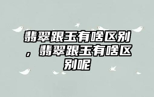 翡翠跟玉有啥區(qū)別，翡翠跟玉有啥區(qū)別呢