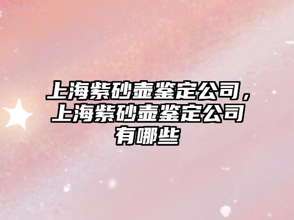 上海紫砂壺鑒定公司，上海紫砂壺鑒定公司有哪些